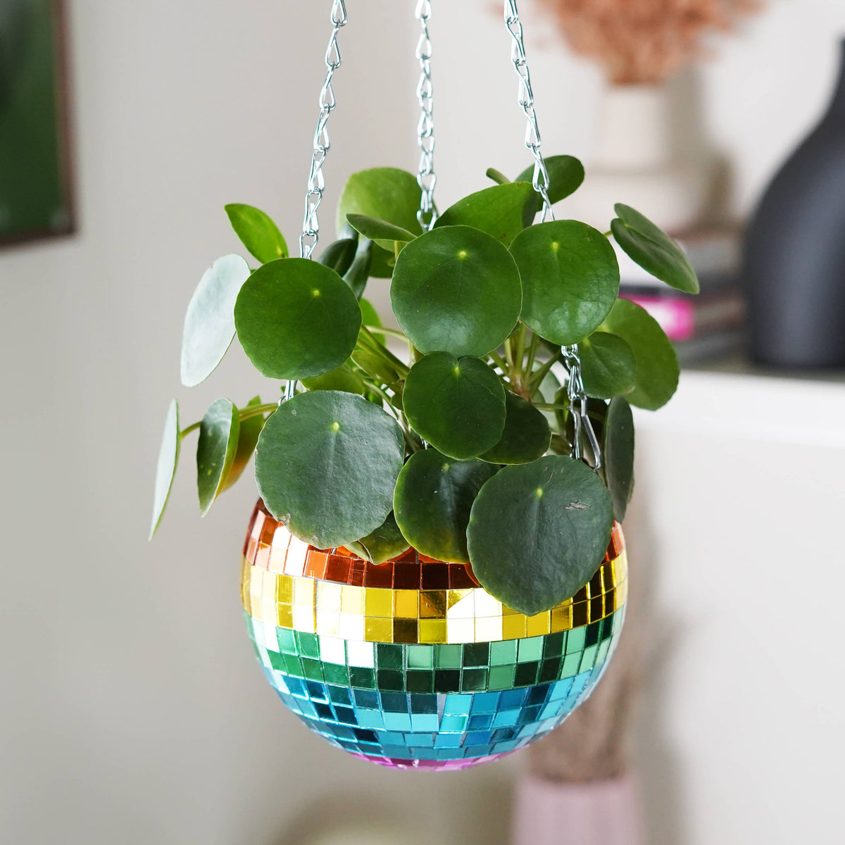 Disco Ball Hanging Planter Rainbow 6-inch | Gift & Home