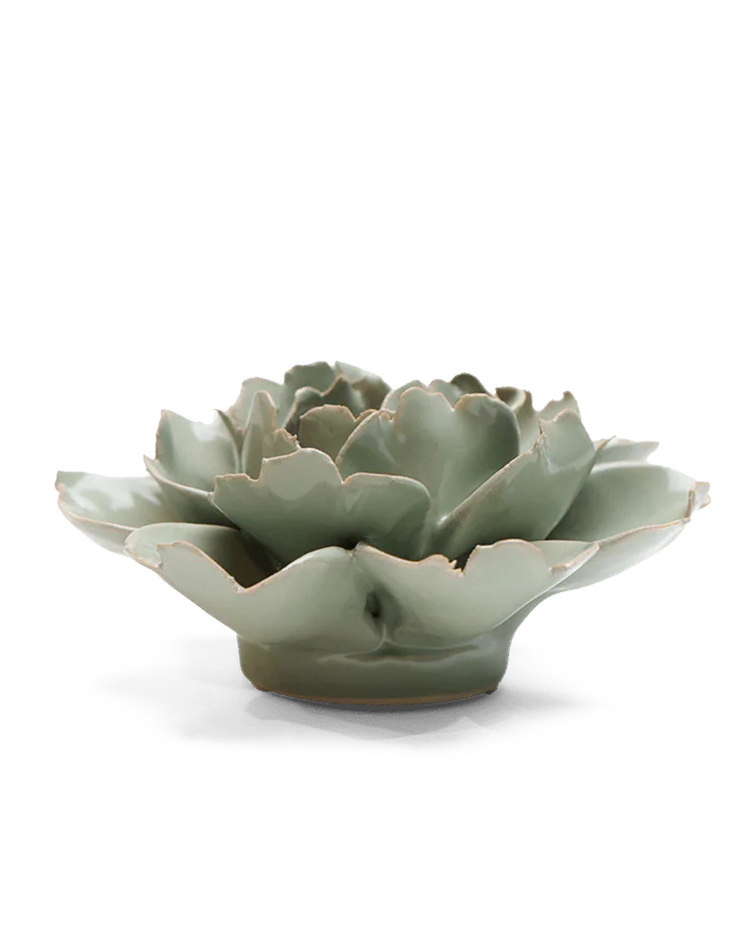 English Garden, Pistachio Green Rose - EG09