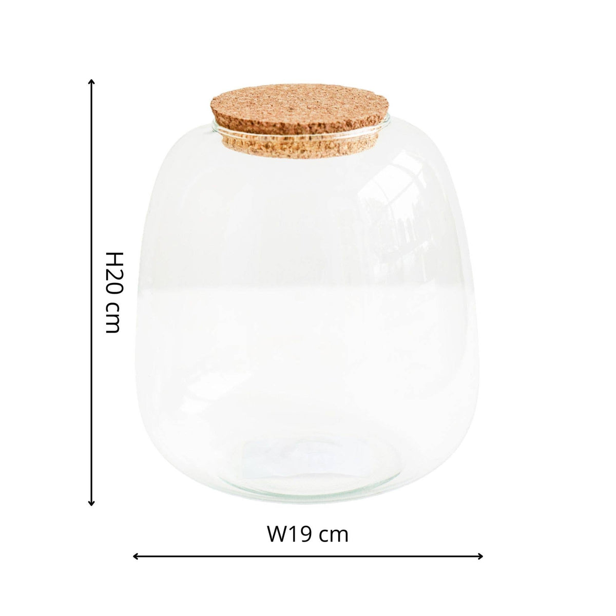 Bowl Shape Medium Terrarium DIY Kit H20cm D19cm