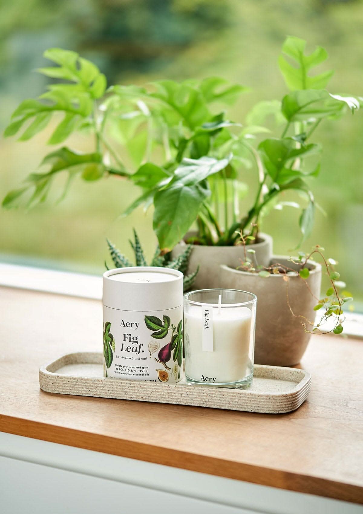 Botanical Fig Leaf Scented Candle