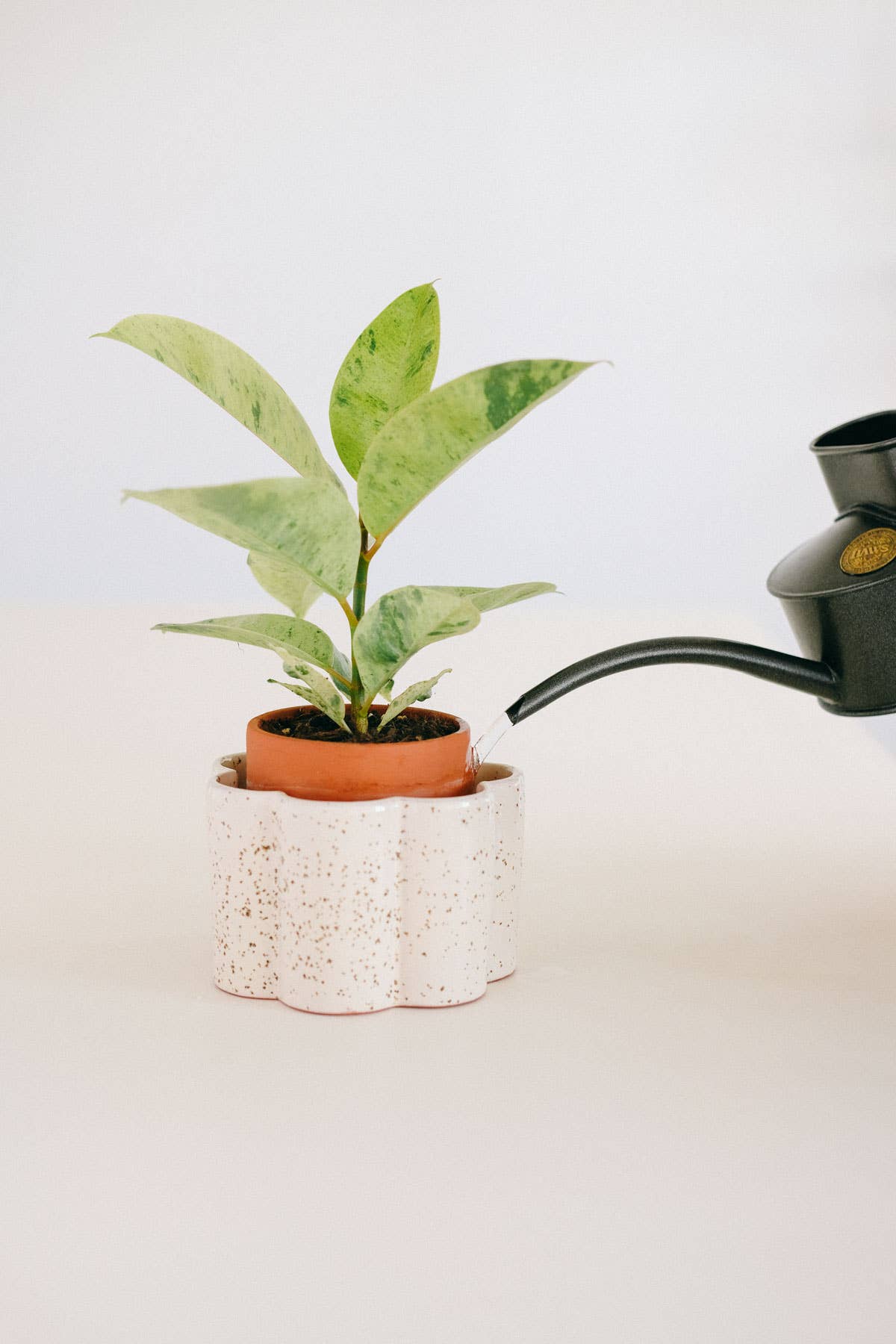 Self-watering pot Paula - Speckled white
