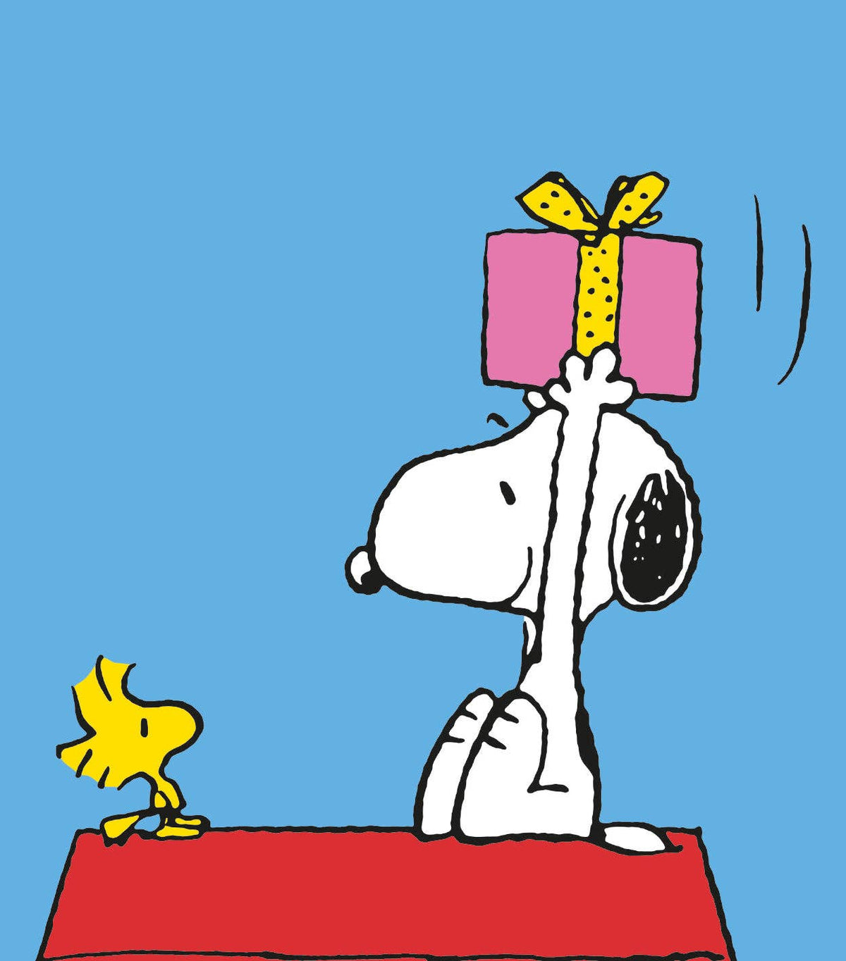 Peanuts Blank Card