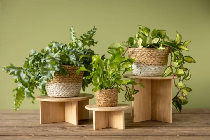 NG146 - Bamboo Plant Stand (L) FSC 100%