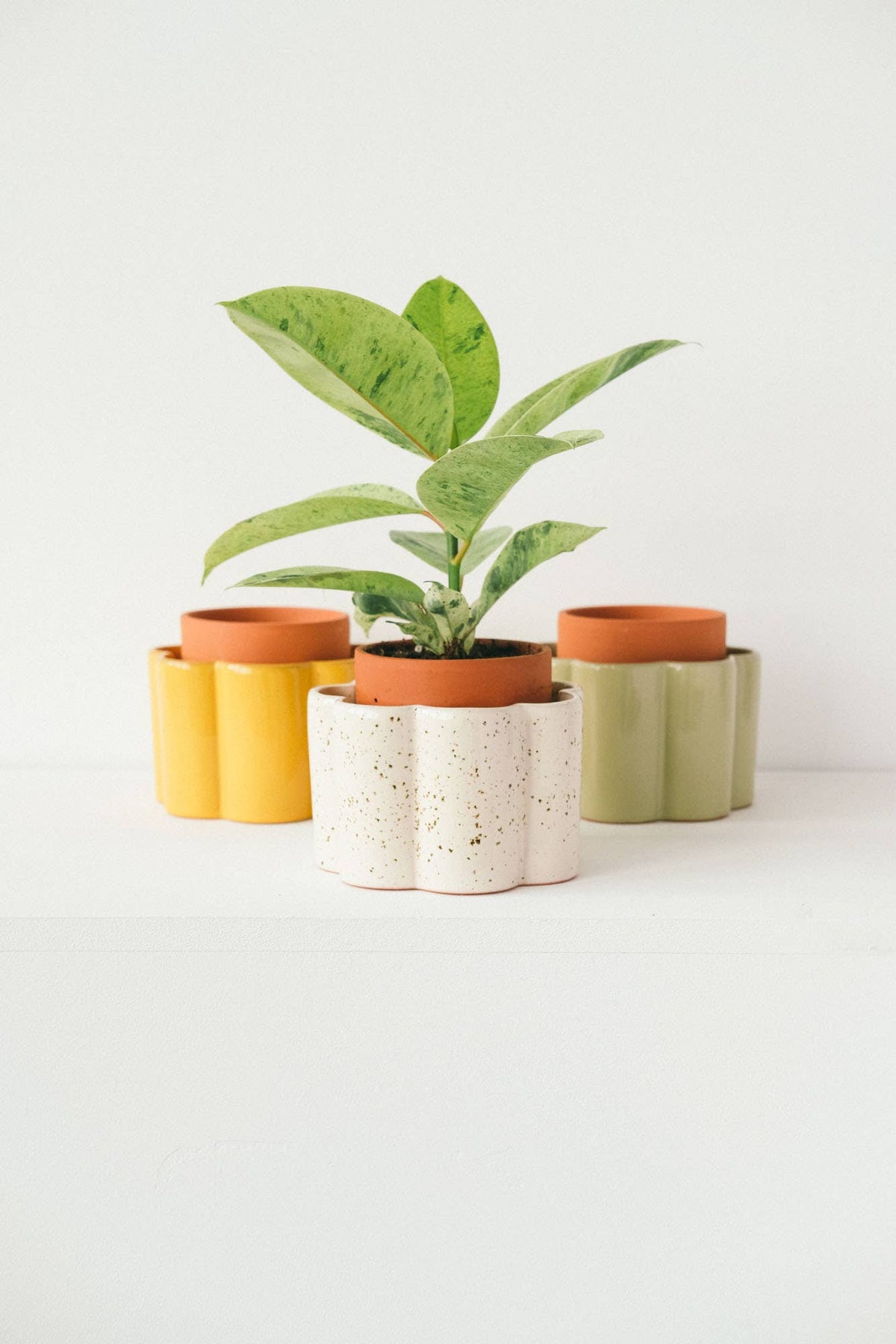Self-watering pot Paula - Sage green