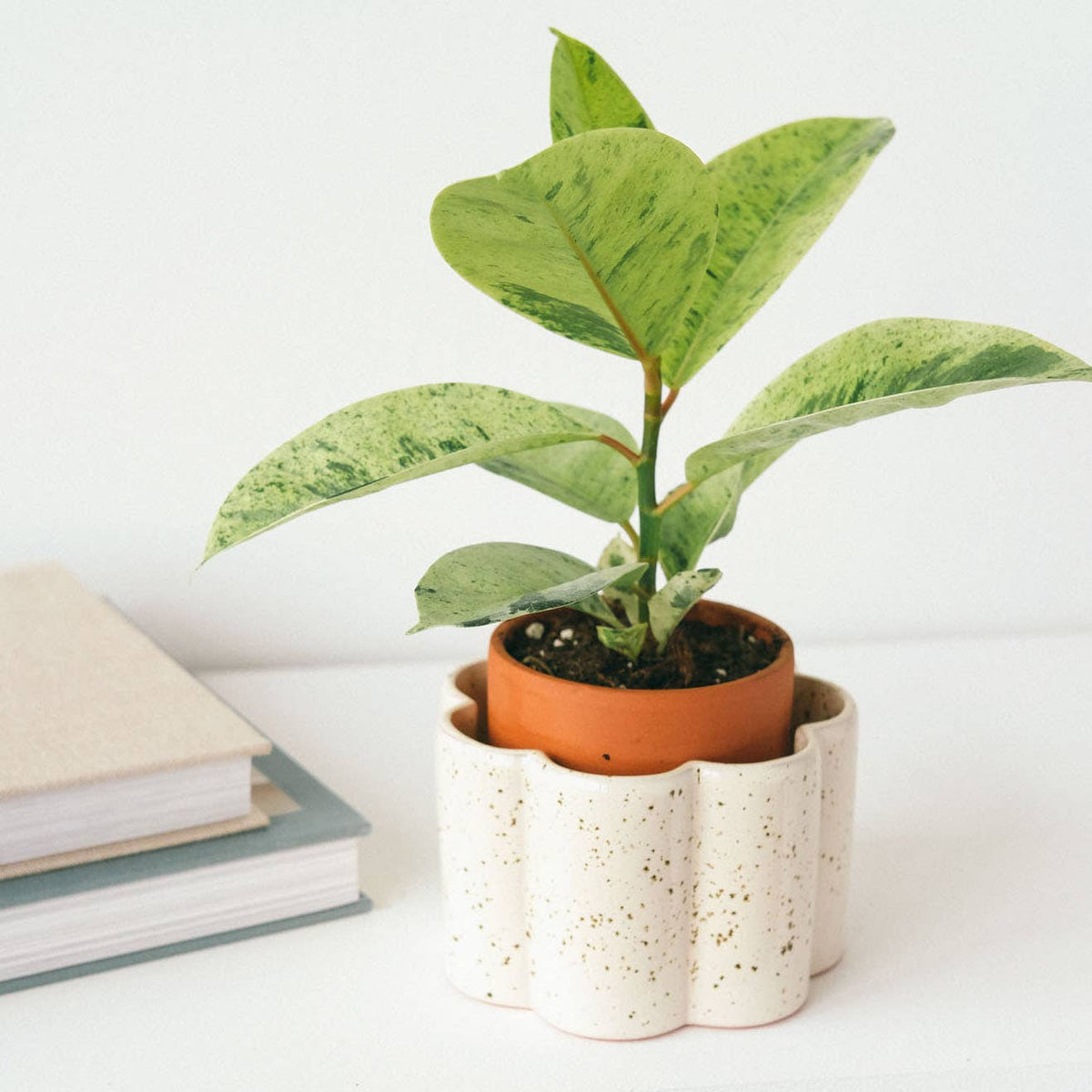 Self-watering pot Paula - Speckled white
