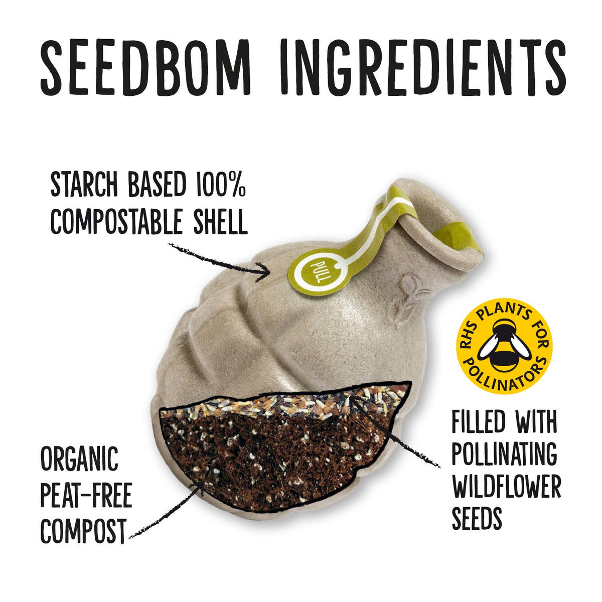 Featherbom & Urban Bloomer Seedbom - Mixed CDU Pack