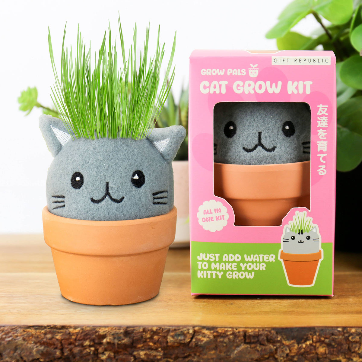 GROW PALS - CAT