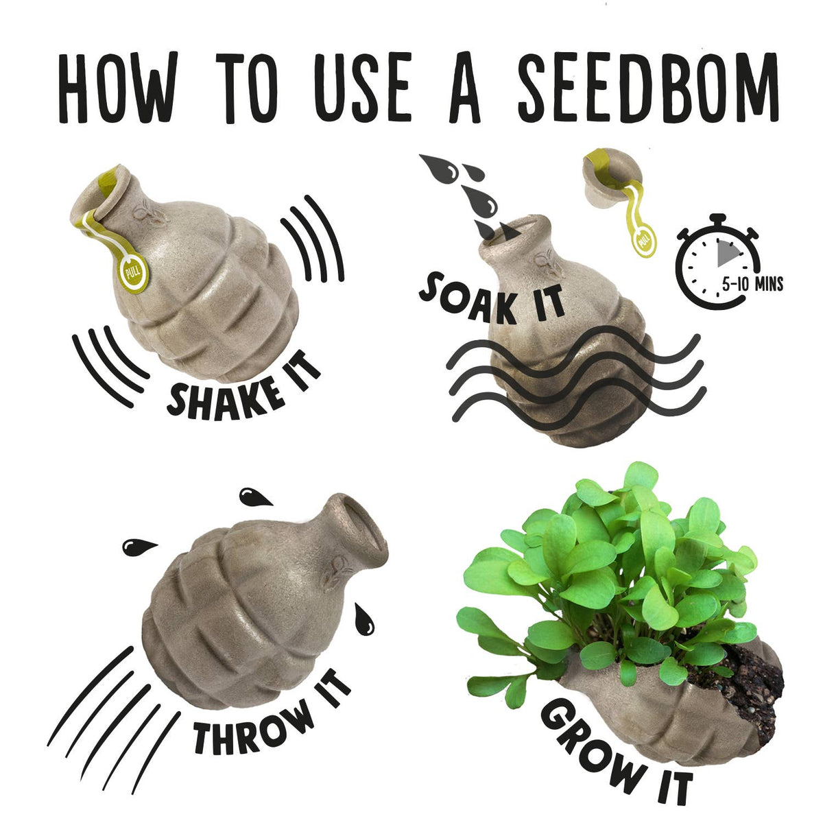 Featherbom & Urban Bloomer Seedbom - Mixed CDU Pack