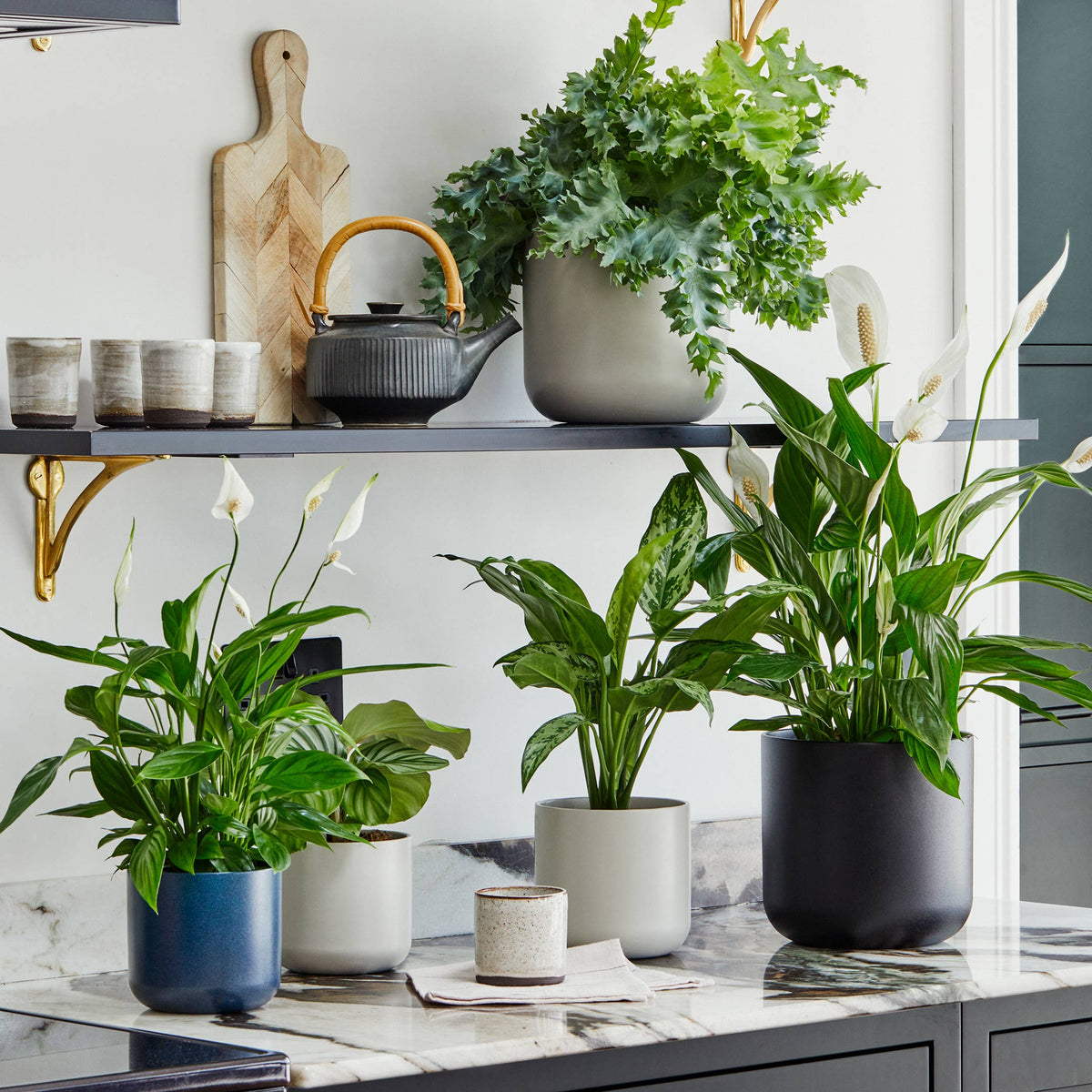 Lisbon Ceramic Indoor Planter H15cm D15cm: Anthracite