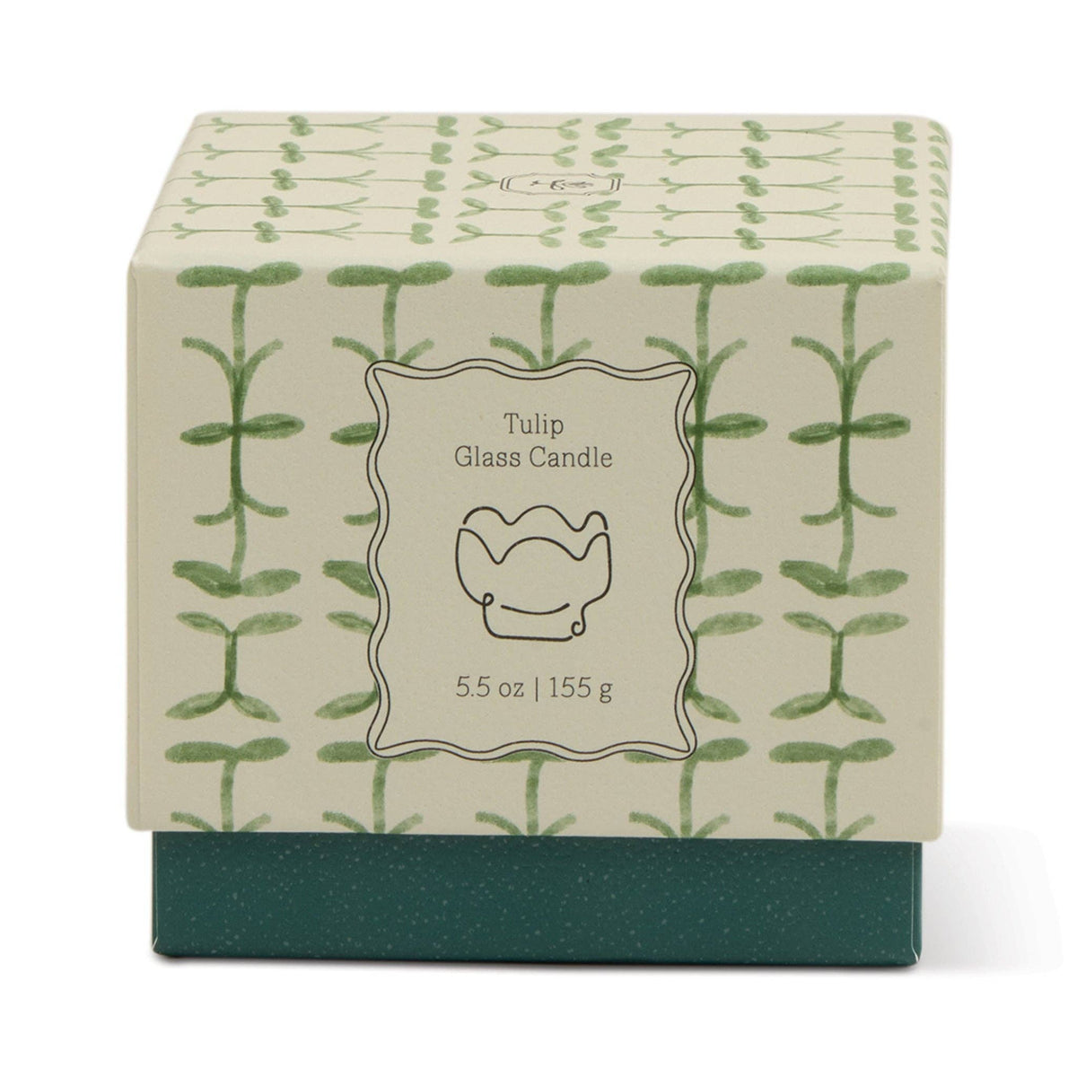 Paddywax Tulip Glass Candle - Verbena & Lemongrass