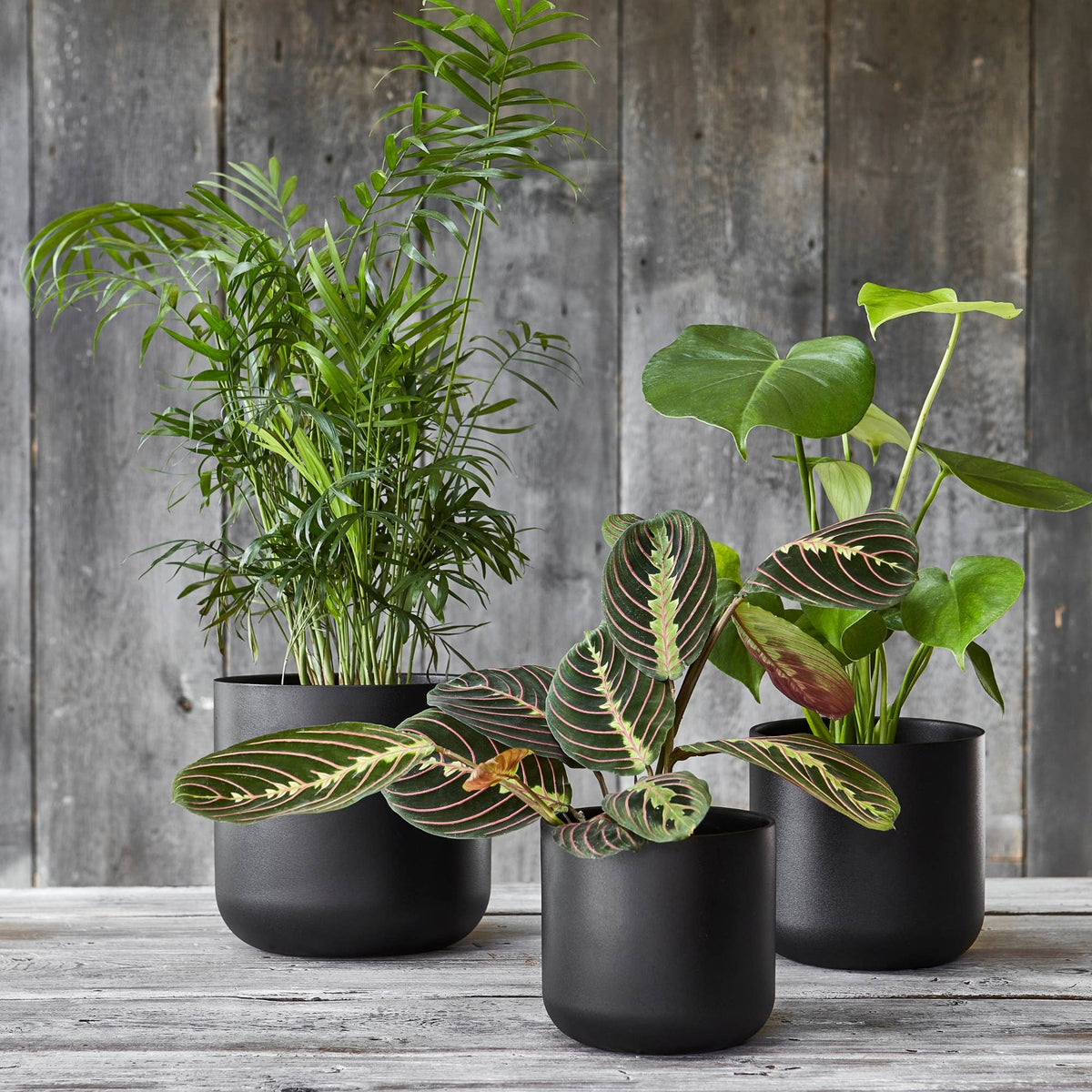 Lisbon Ceramic Indoor Planter H20.5cm D20.5cm: Anthracite