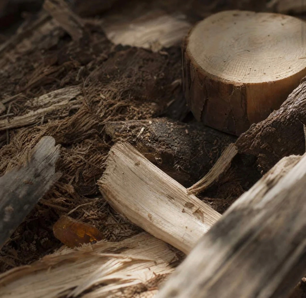 Koade Wood Scented Candle