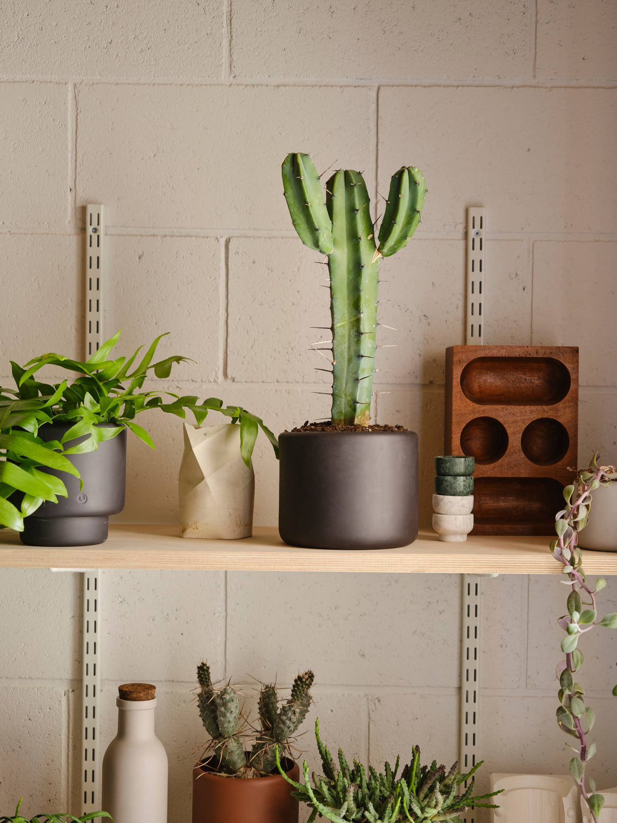 BOTANY porcelain Plant Pot SMALL: Dark Terracotta