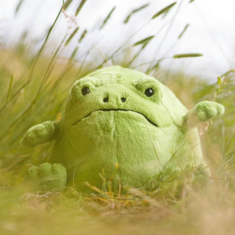 Jellycat Ricky Rain Frog (15cm)