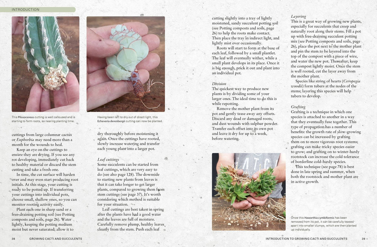 The Kew Gardener's Guide to Growing Cacti and Succulents
