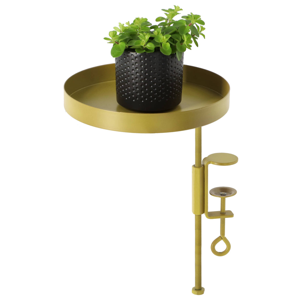PY110 - Windowsill Clamp Gold M