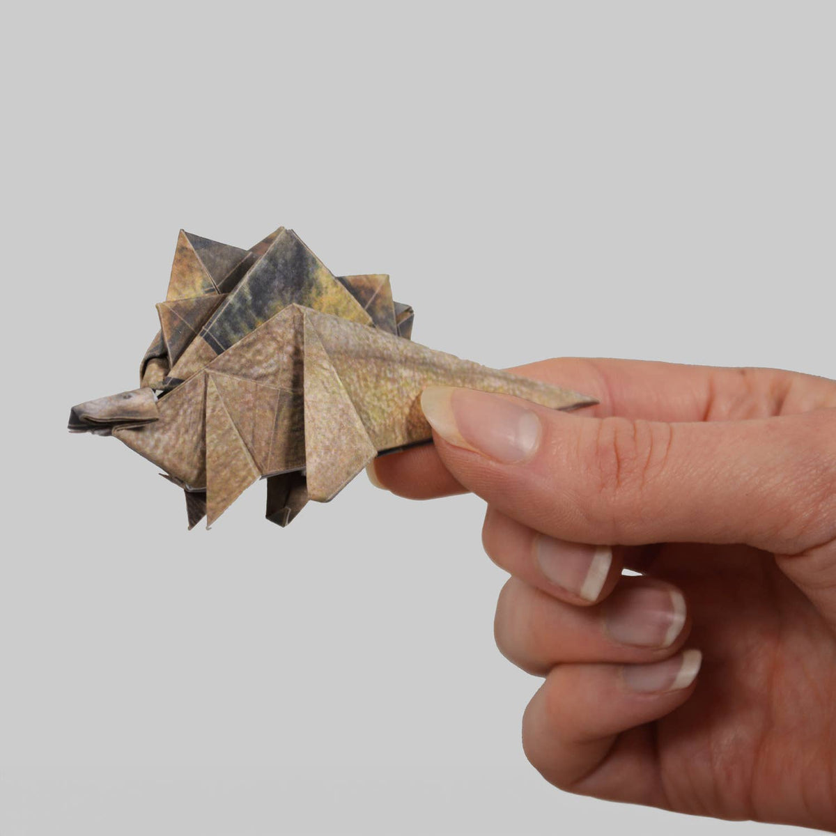 Paper Dinos | Perfect for Dino Enthusiasts | Cute DIY Kit