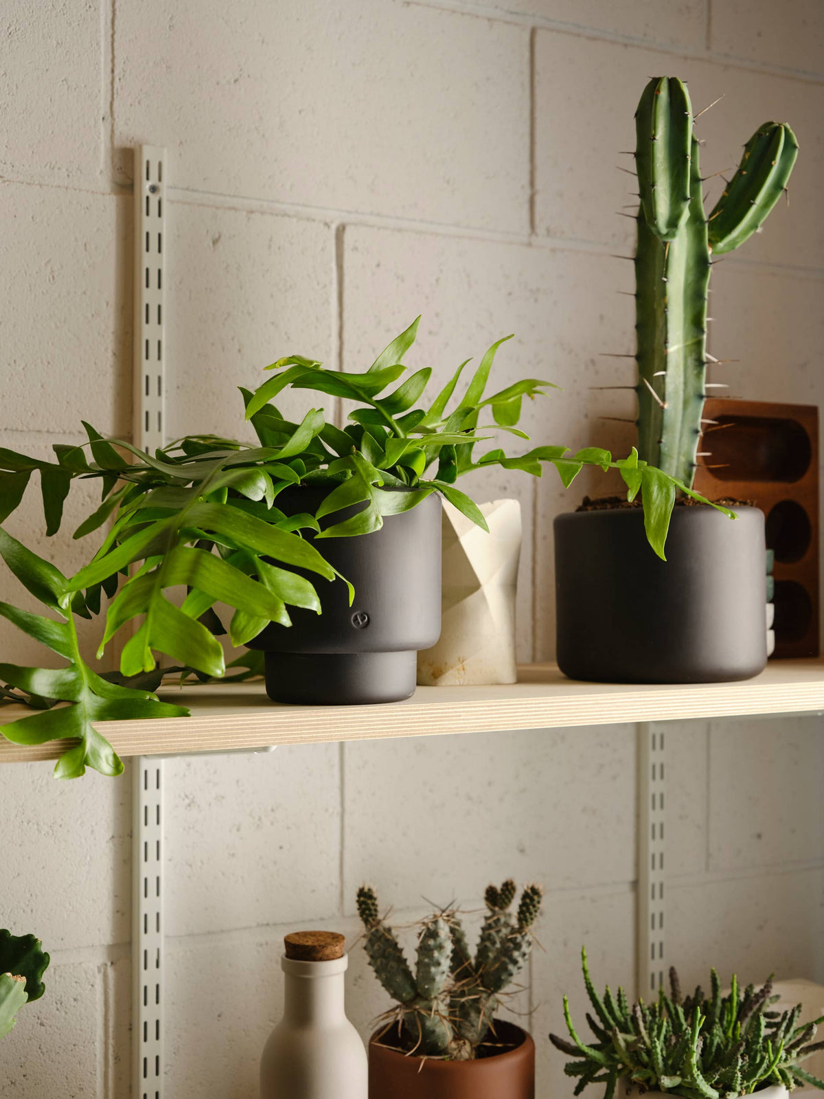BOTANY porcelain plant pot MEDIUM: Graphite Black