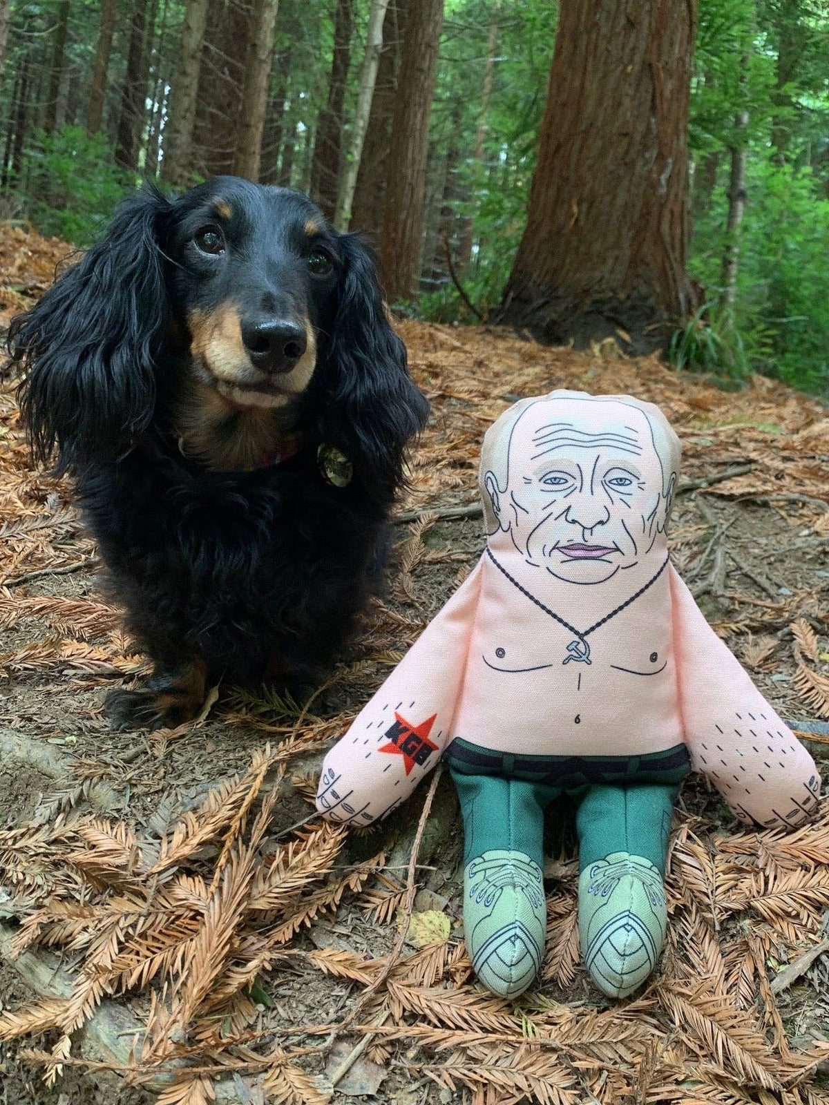 Vladimir Putin dog toy: Small Dog Toy