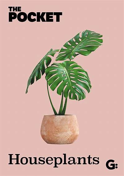 The Pocket - Houseplants