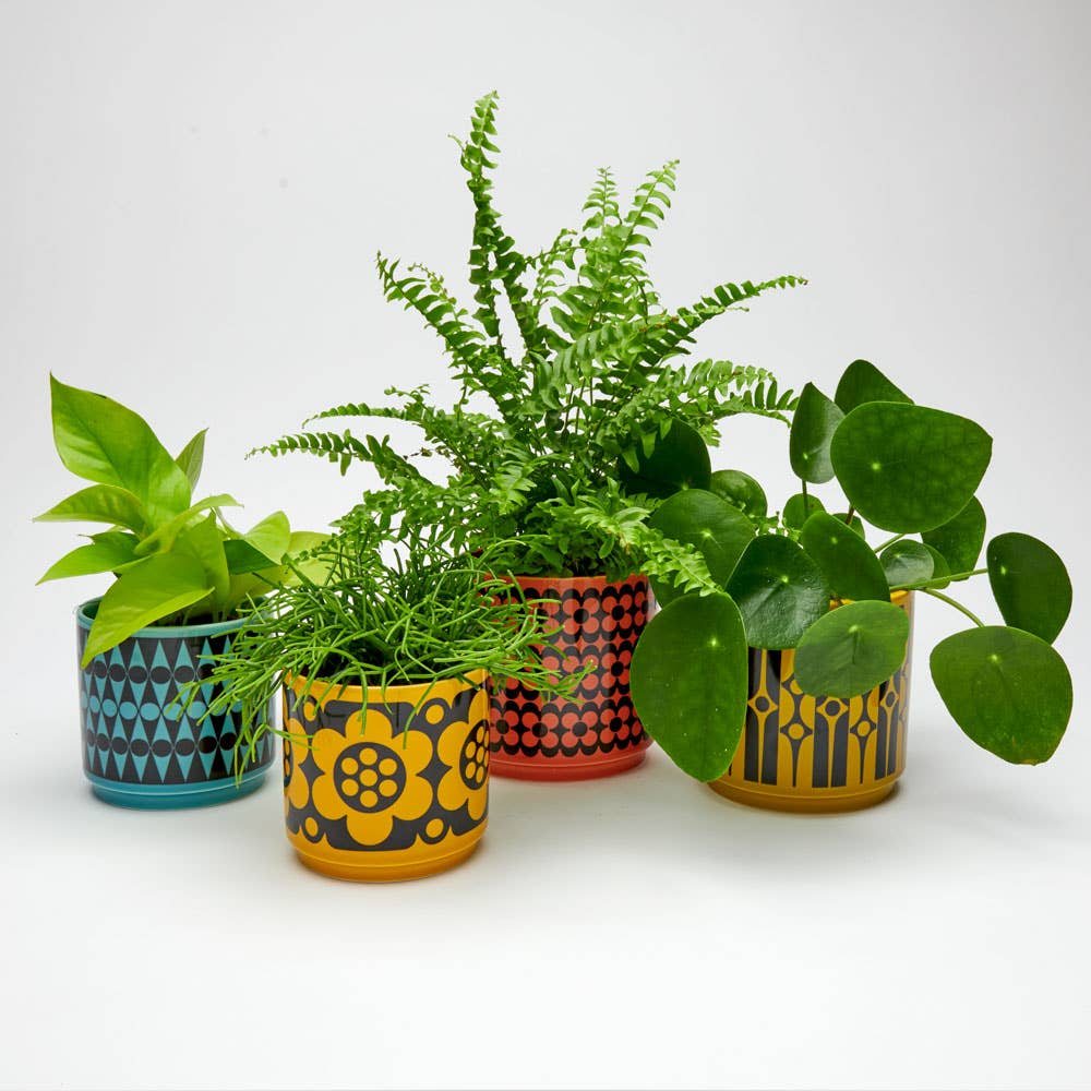 Magpie x Hornsea Medium Planty - Plant Pot Geo Chartreuse