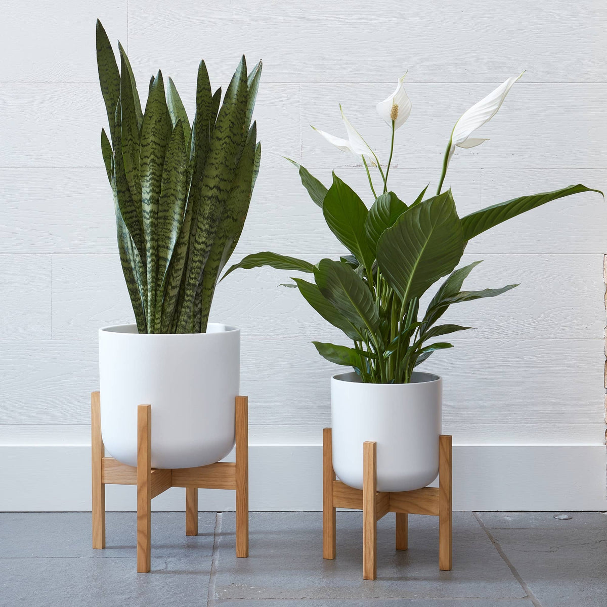 Lisbon Ceramic Indoor Planter with Wooden Stand: White / Small