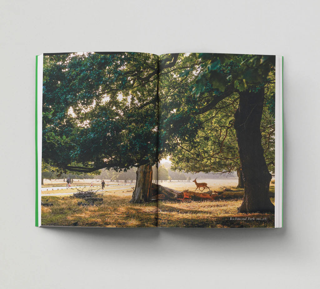 Opinionated Guide to London Green Spaces