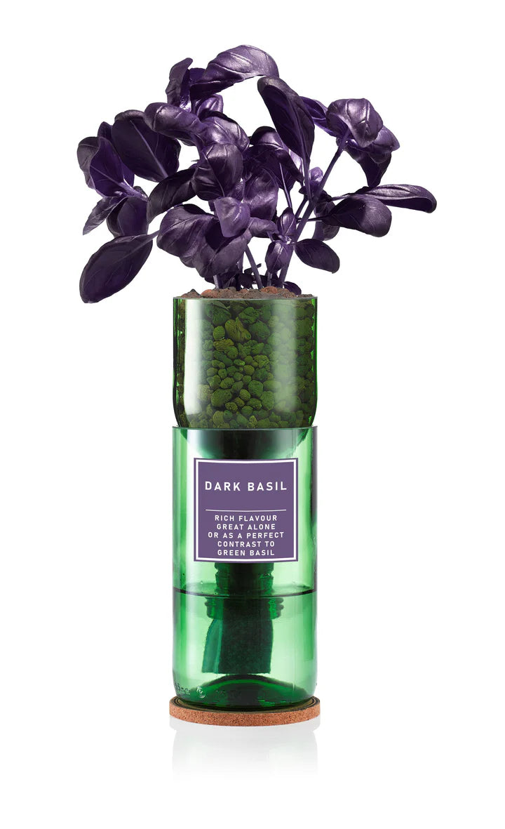 Hydro-Herb Dark Basil