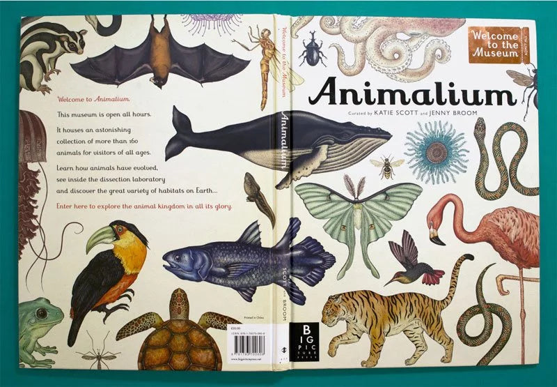 Animalium New Edition Book
