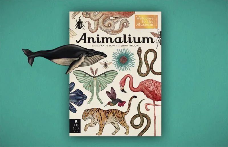 Animalium New Edition Book