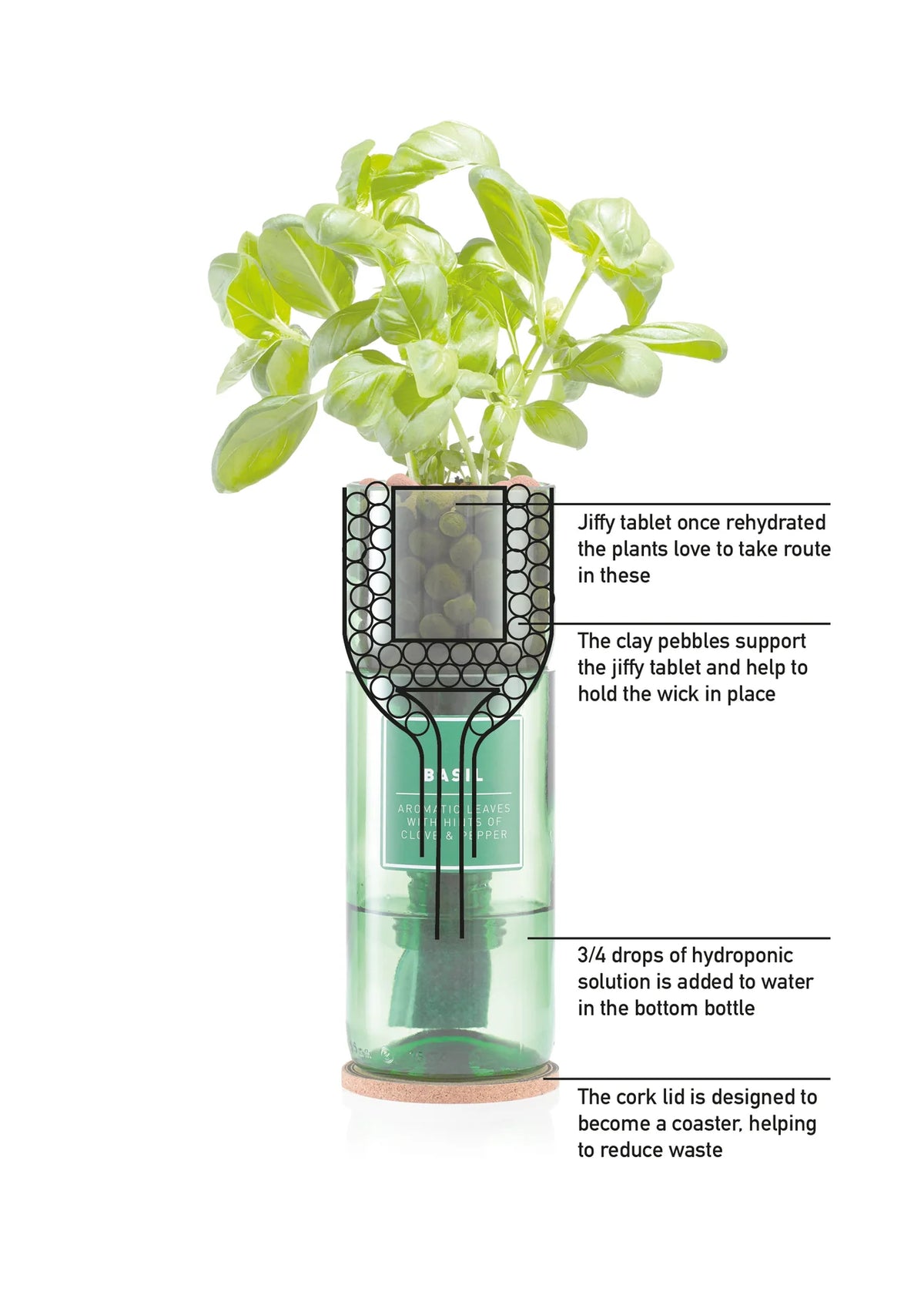 Hydro-Herb Corriander