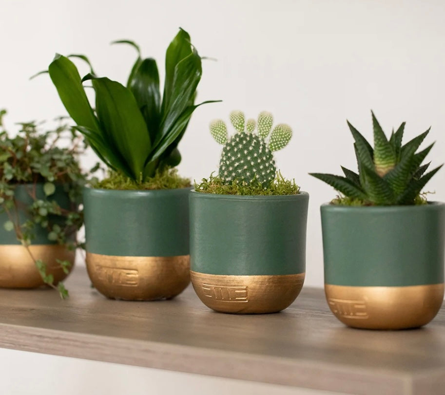 Indoor Metallic Dipped Pot/ Planter: Small / Green And Copper
