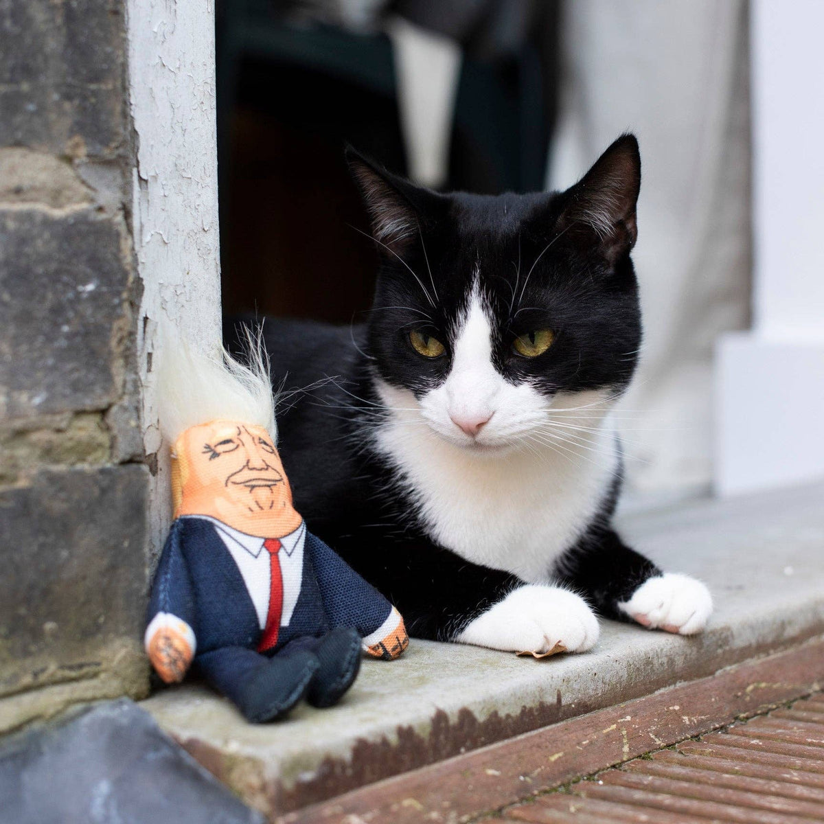 Donald Trump Cat Toy