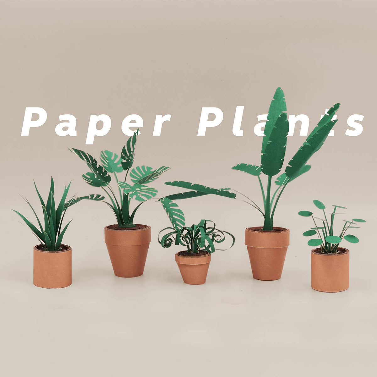 Paper Plants | Cute DIY Origami Kit