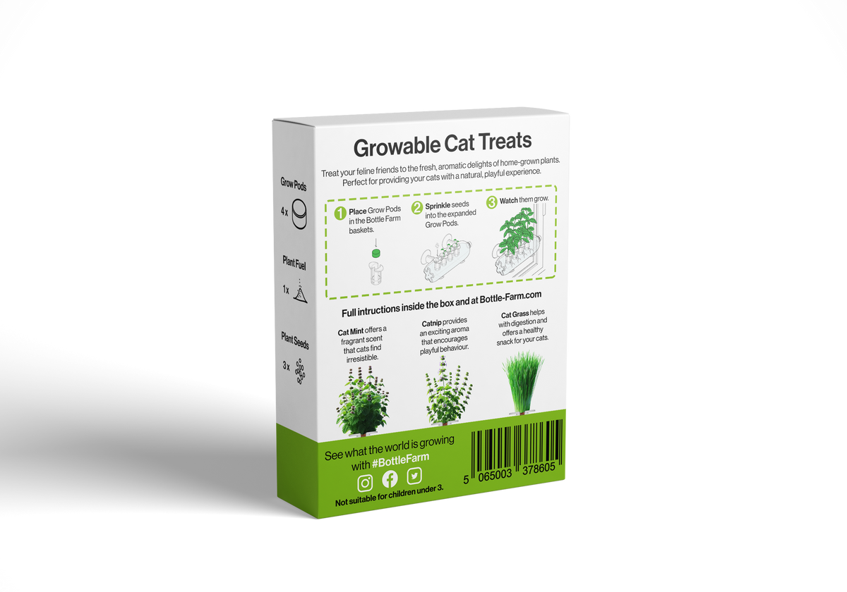 Cat Treat Grow Pack Cat Grass Catnip Indoor Growers Kit Gift