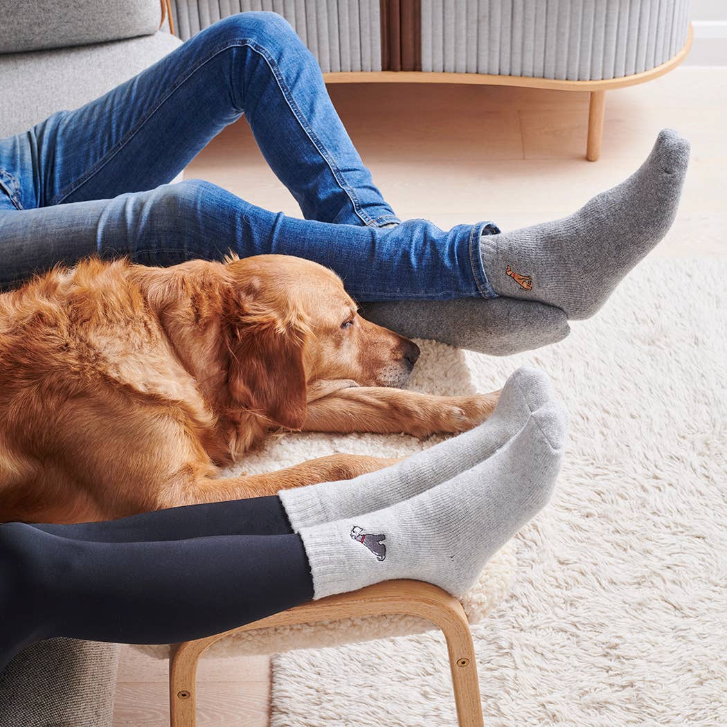 Dog Walking Socks - Golden Retriever