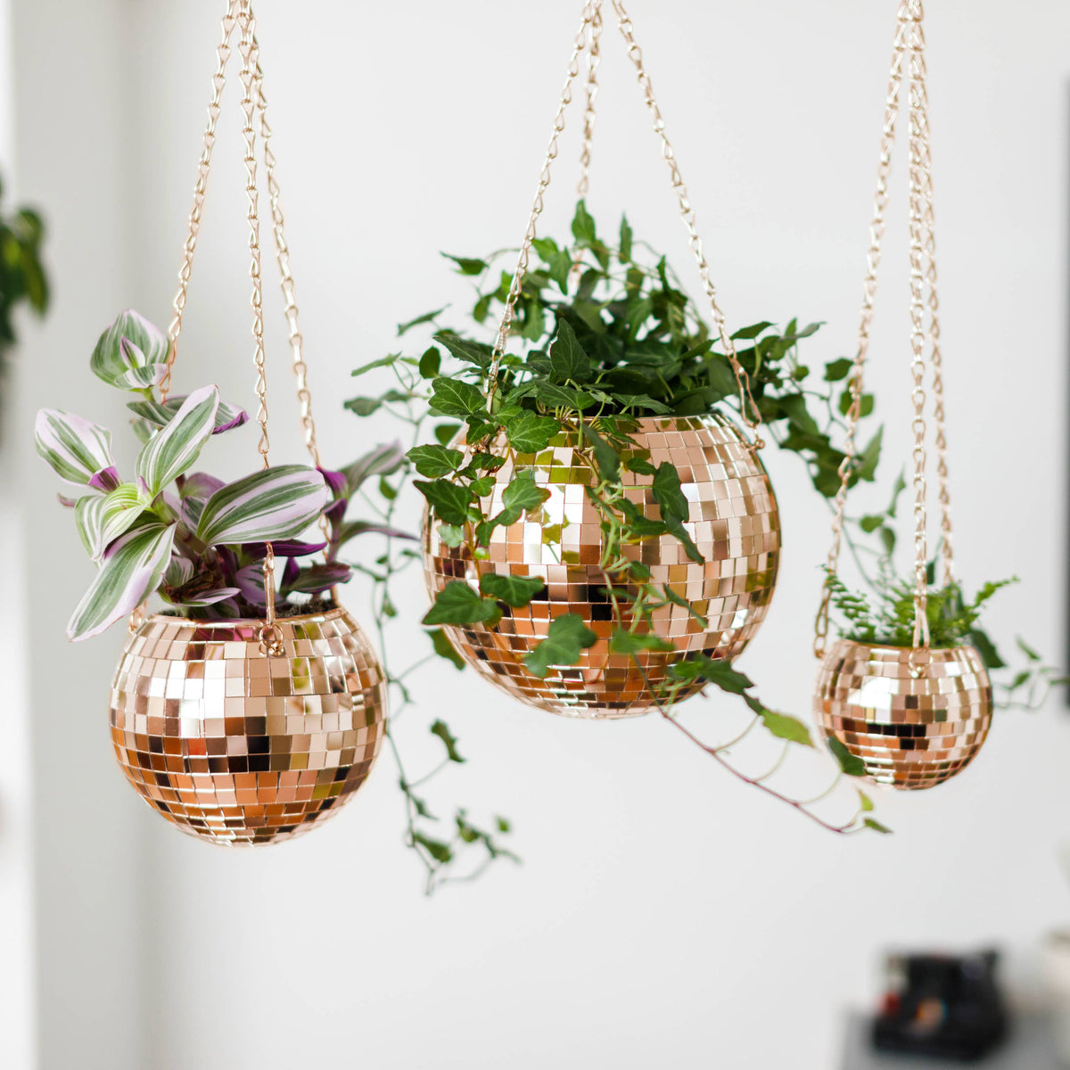 Disco Ball Hanging Planter Rose Gold 8-inch | Giftware