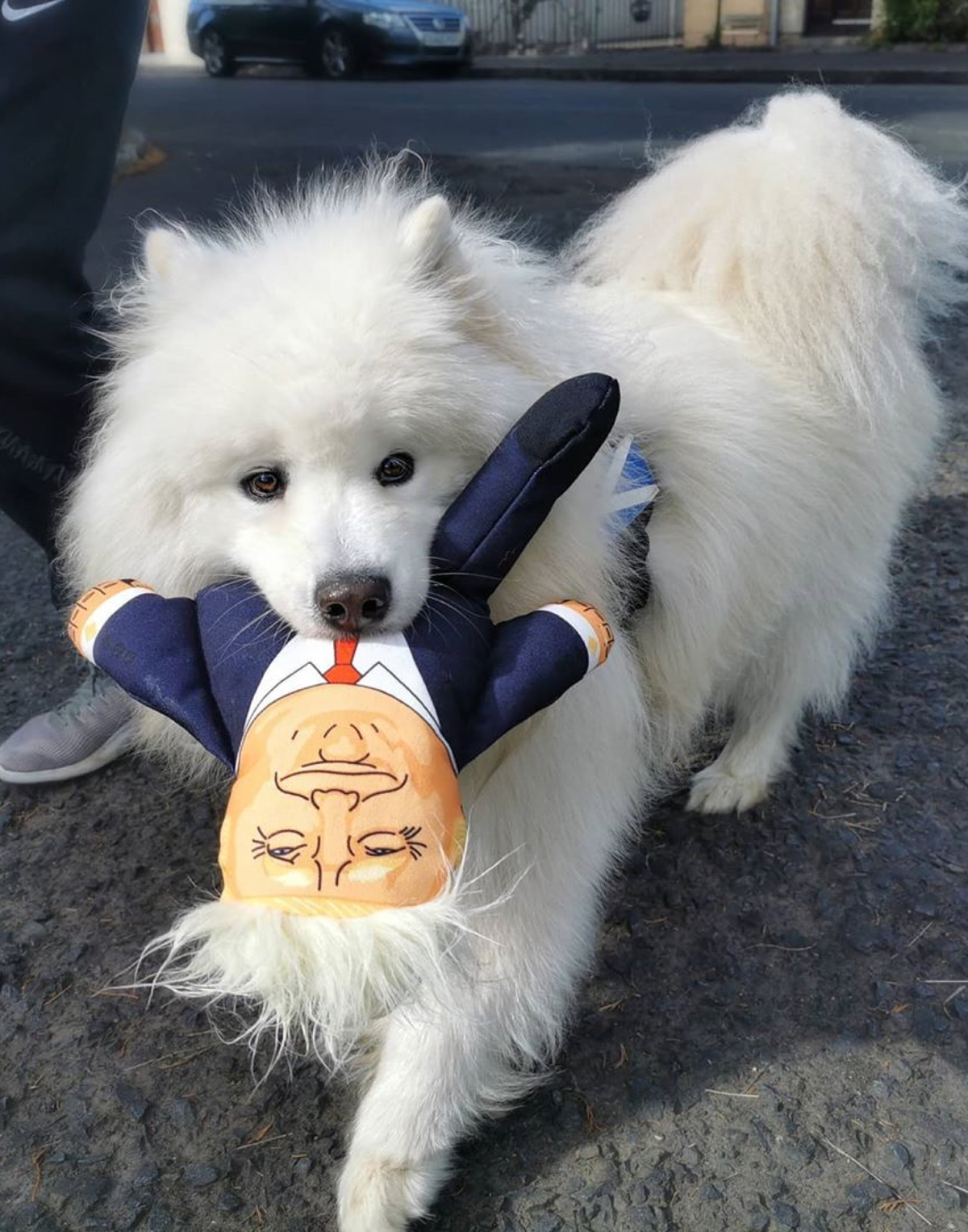 Donald Trump Dog Toy: Small