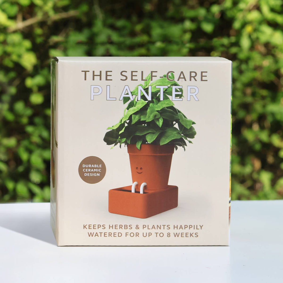 Self Care Planter | Self Watering Plant Pot | Home Accents