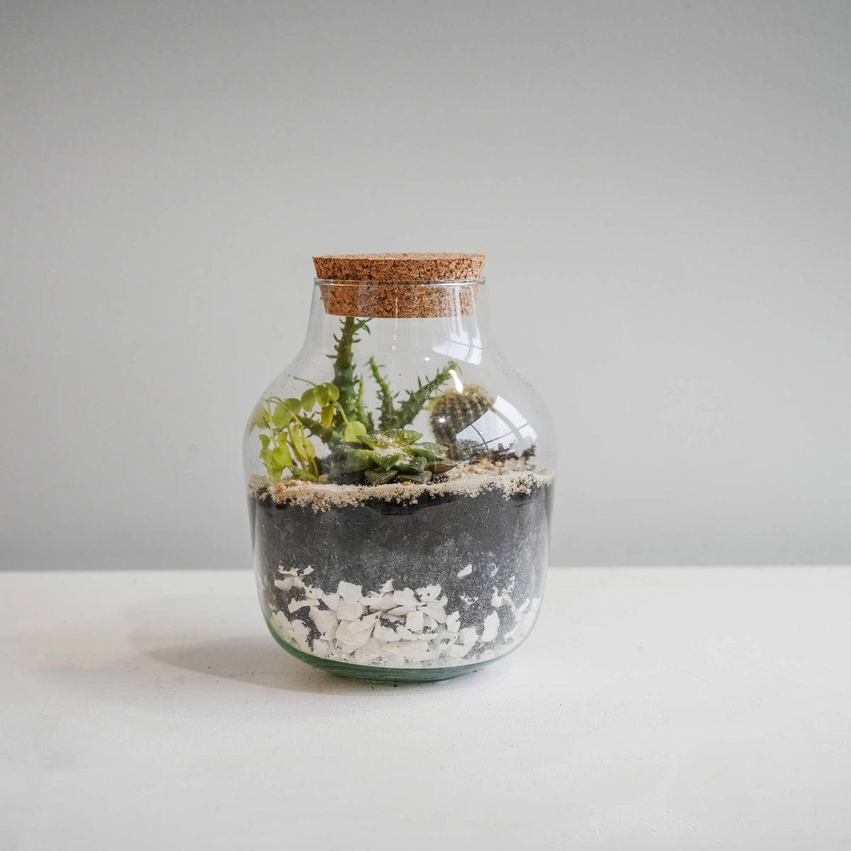 Angular Glass Small Terrarium DIY Kit H22cm D17cm