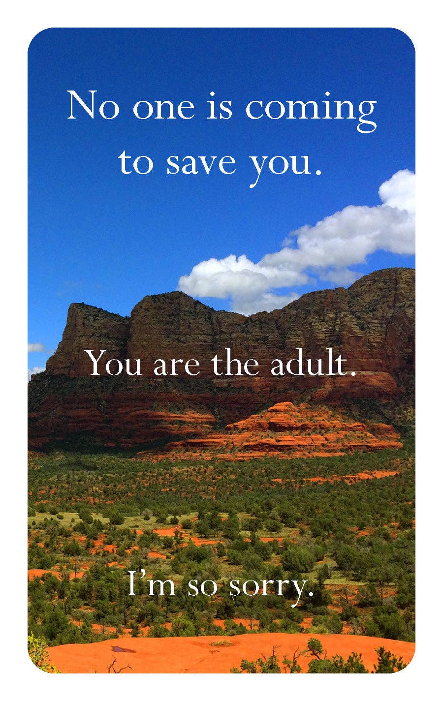 Disappointing Affirmations Deck - 52 Affirmation Cards (Flash Cards (Decks))