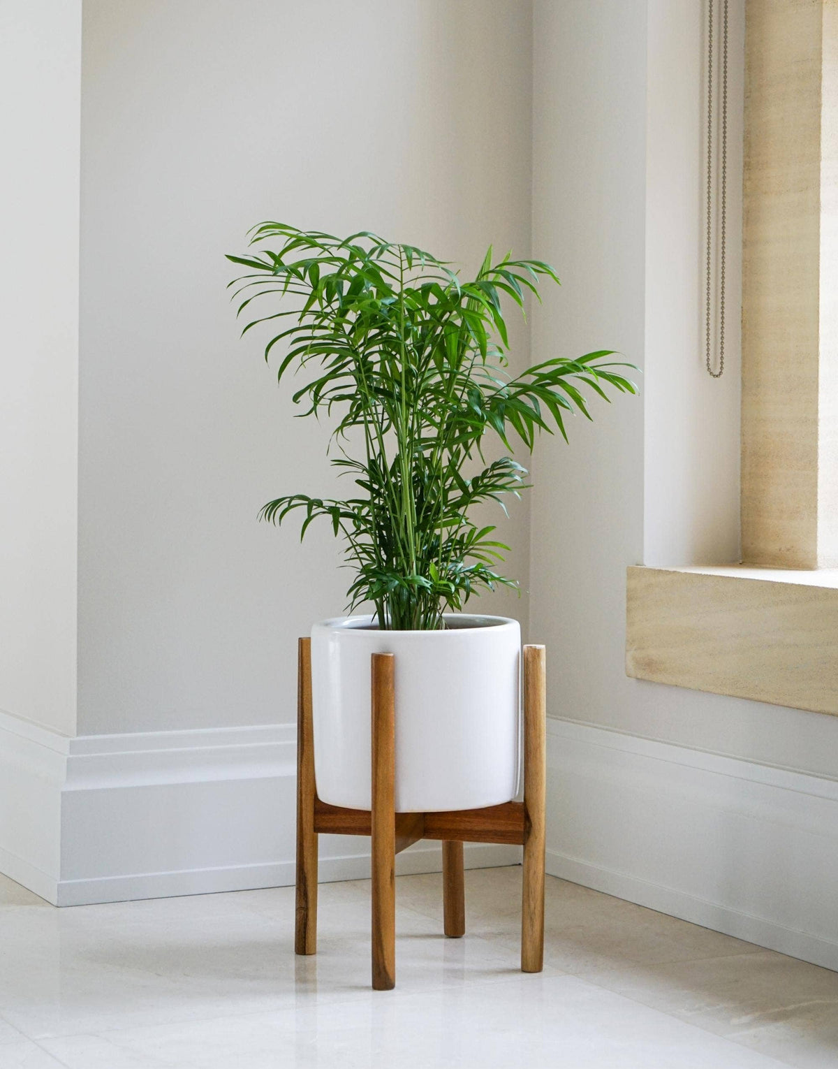 Anzio Planter with Wooden Stand: Stone White