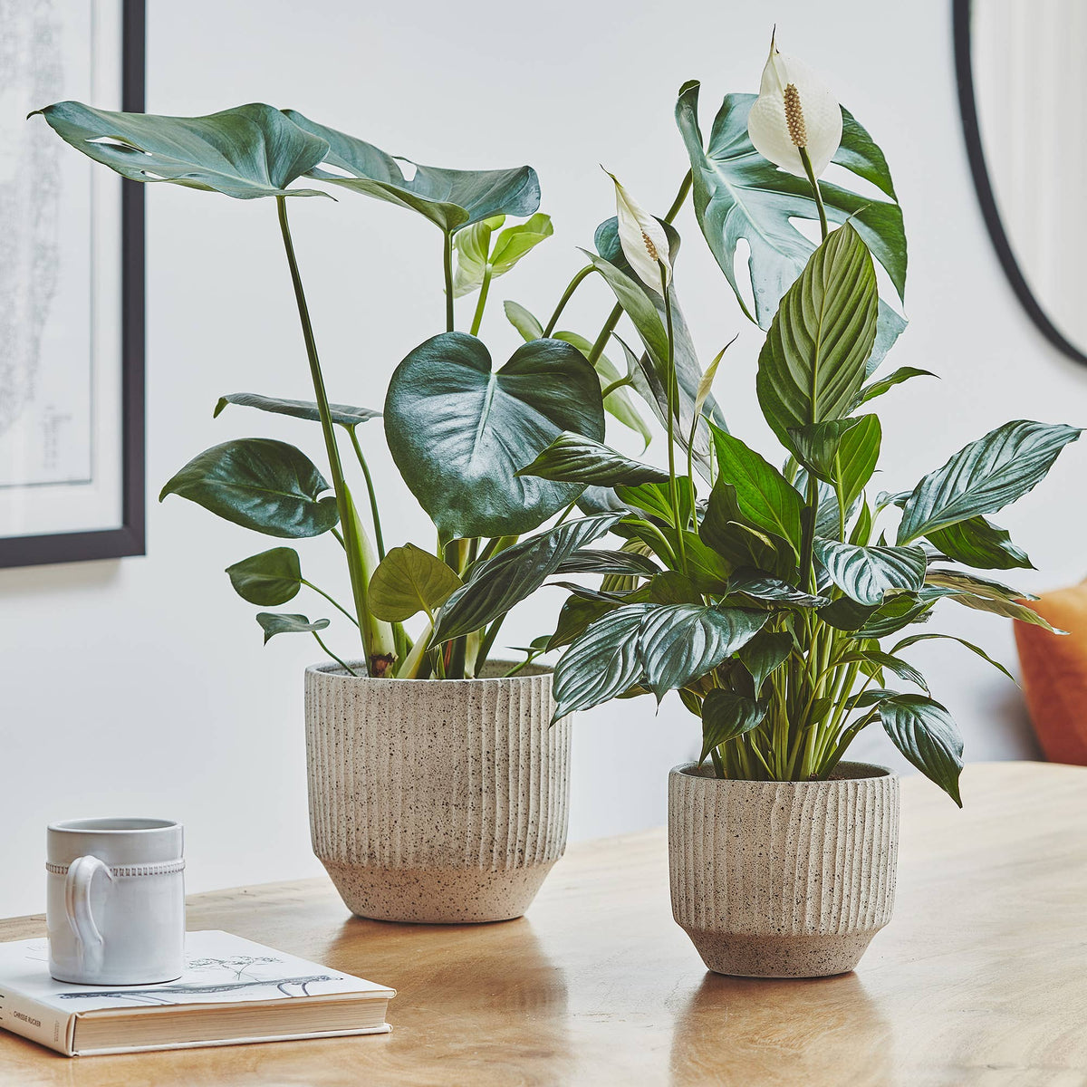 Solento Speckle Planter 20cm: Gray / Ceramic / English