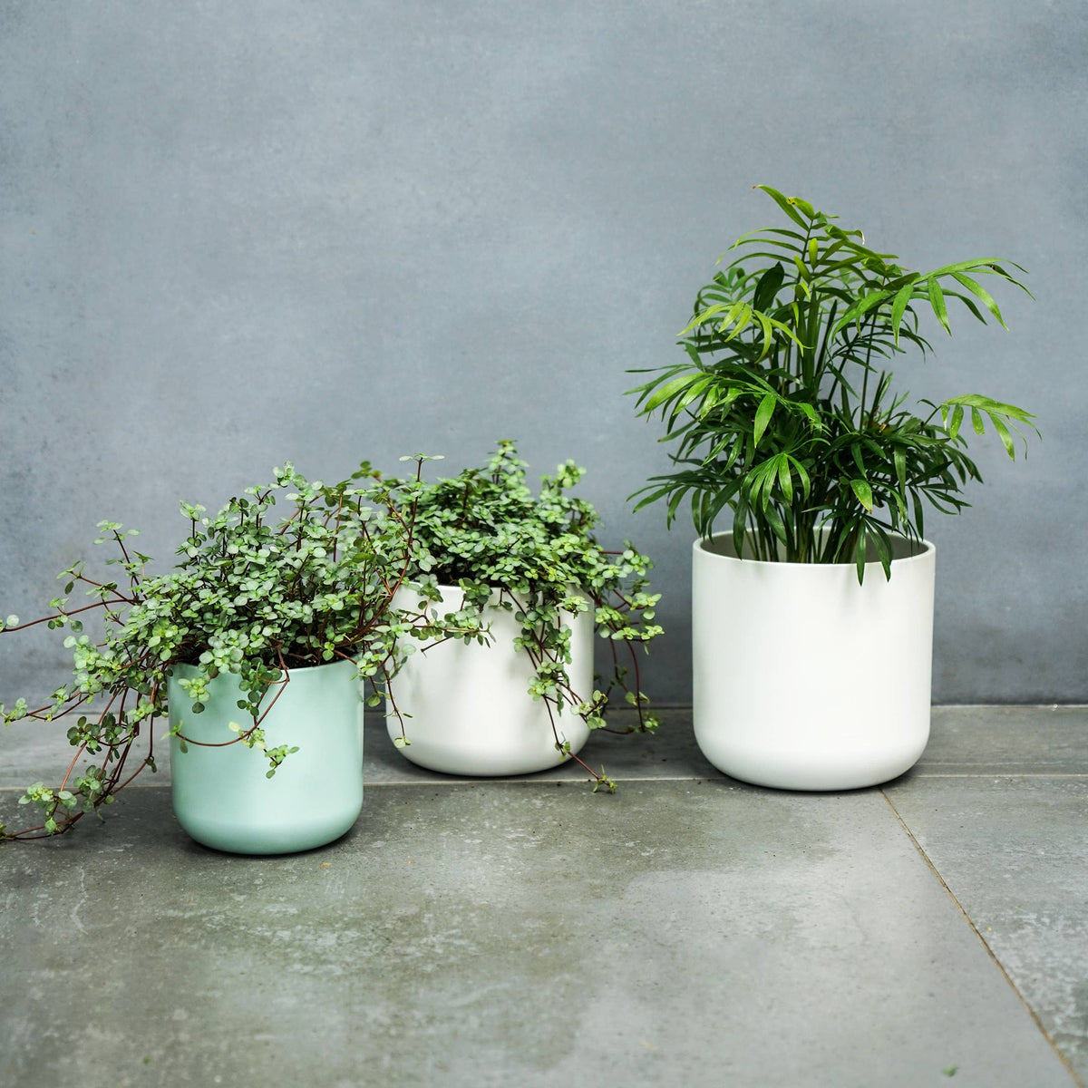 Lisbon Ceramic Indoor Planter H15cm D15cm: Anthracite