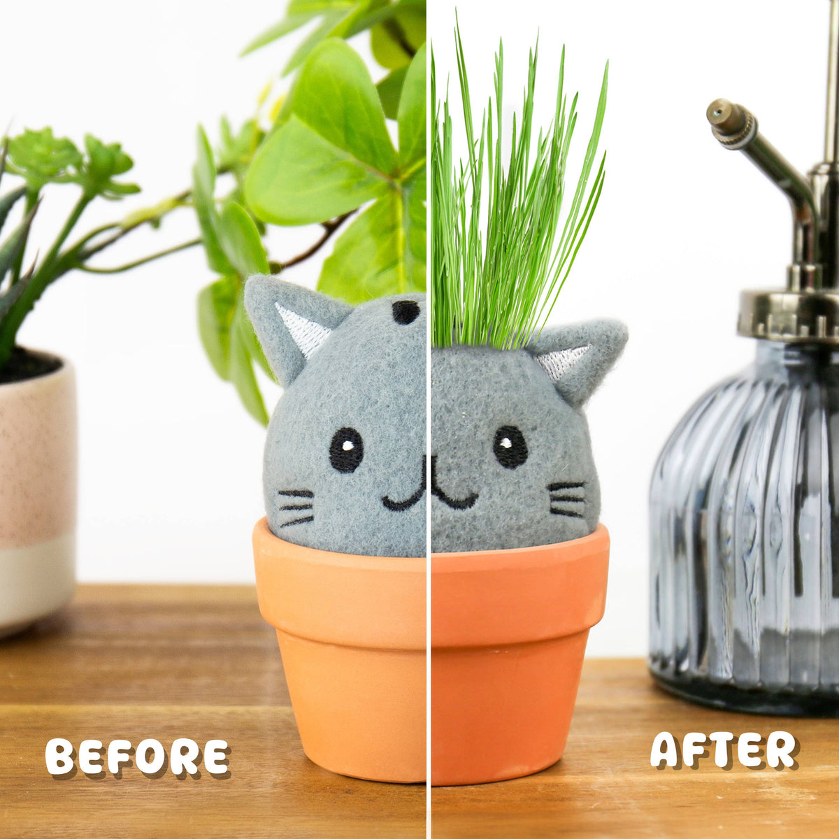 GROW PALS - CAT