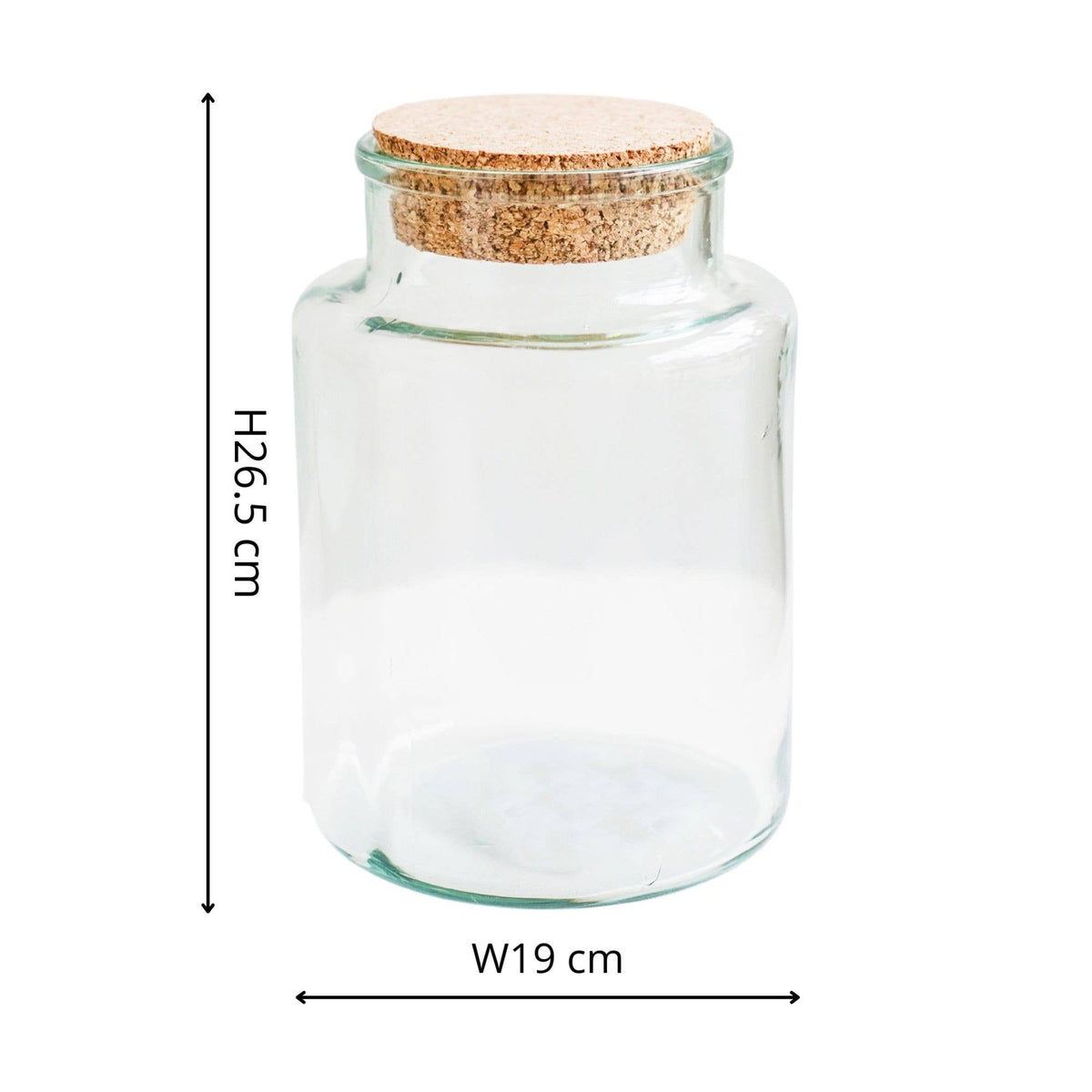 Bottle Shape Large Terrarium DIY Kit  H26.5cm W19cm