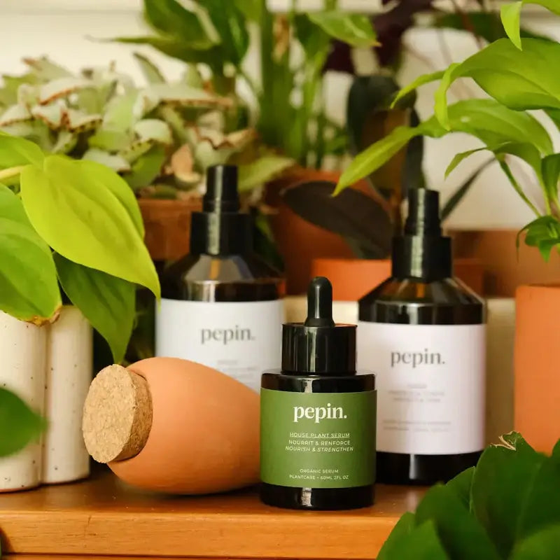 Plantcare routine