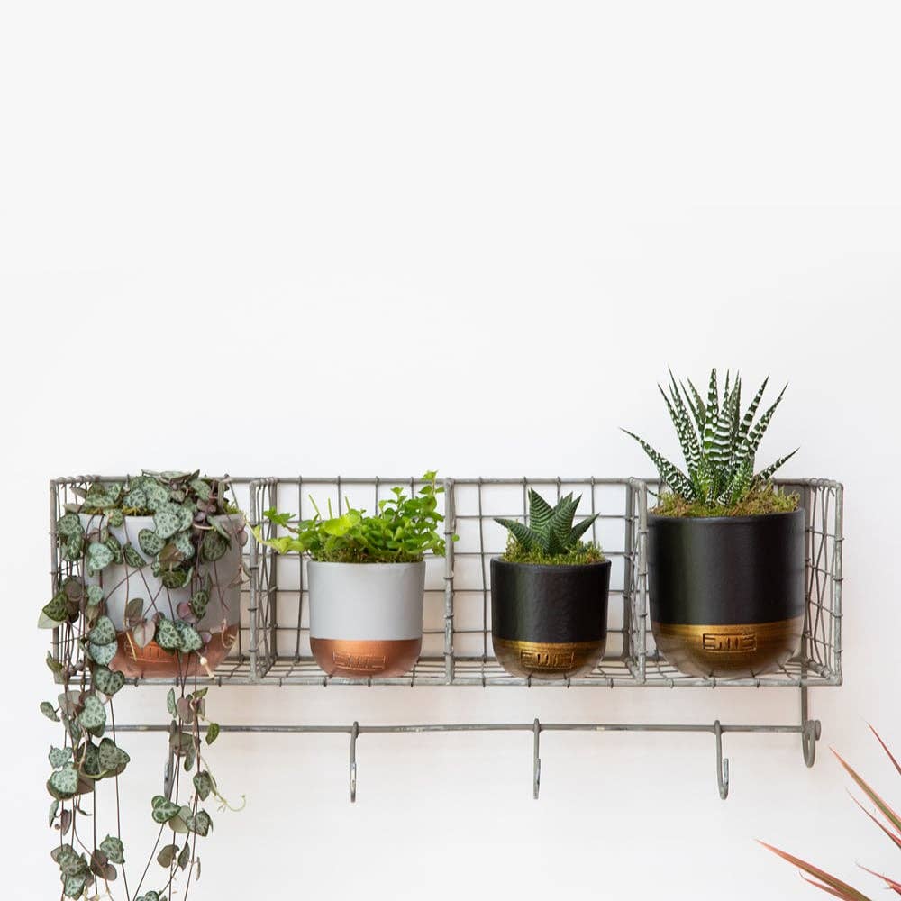 Indoor Metallic Dipped Pot/ Planter: Small / Pink And Copper