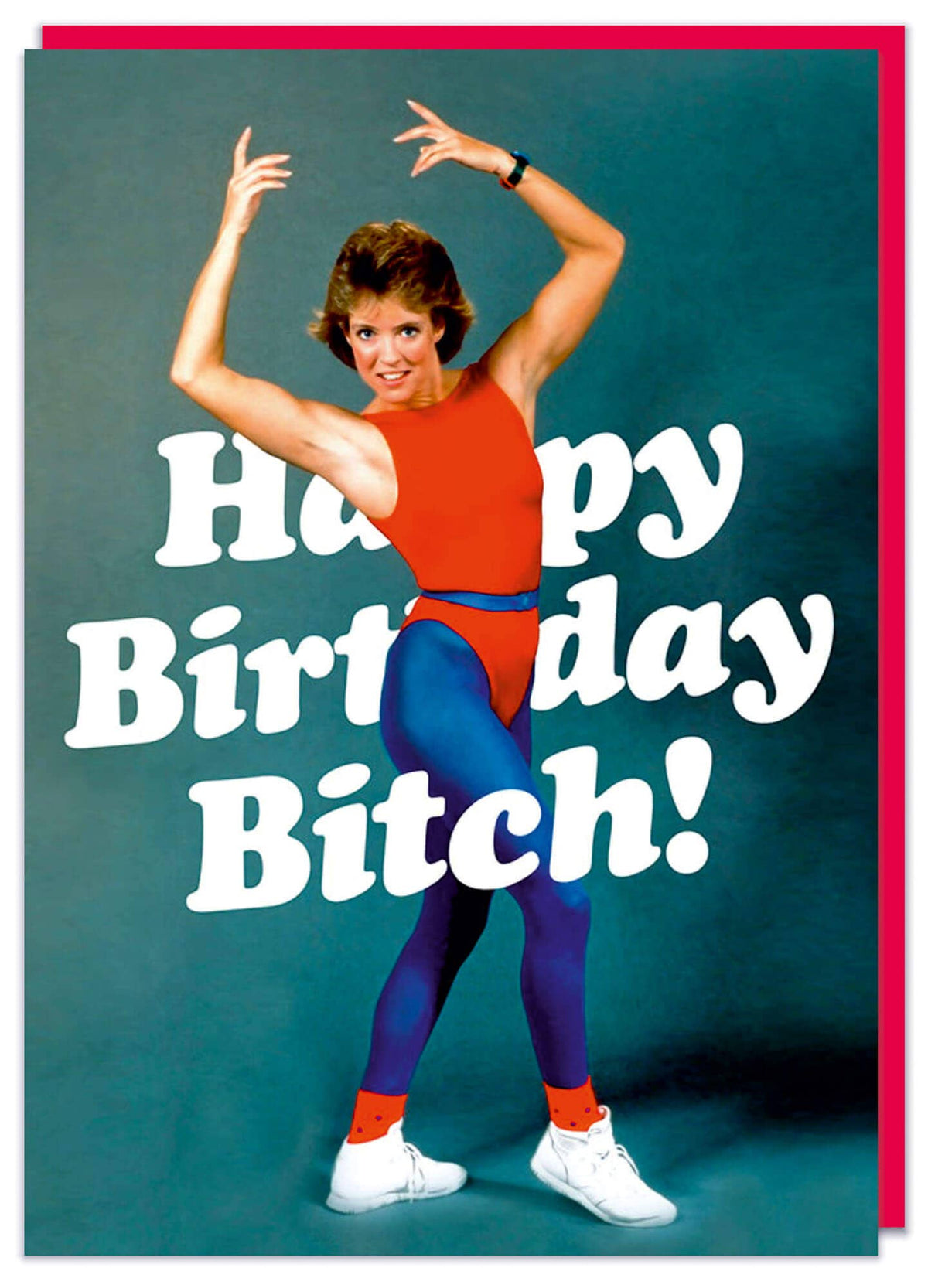 Happy birthday bitch Greeting Card