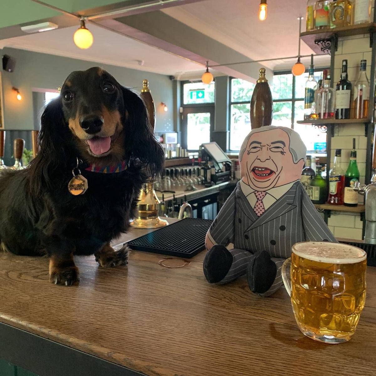 Nigel Farage dog toy: Regular